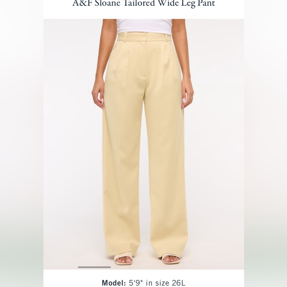 Abercrombie🌻 Sloane tailored wide leg Pleated trousers